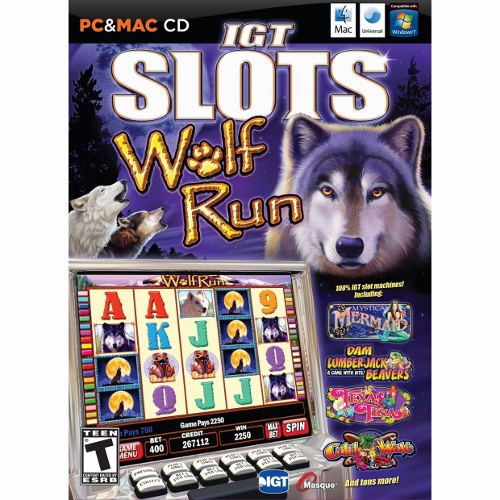 Igt slots computer games